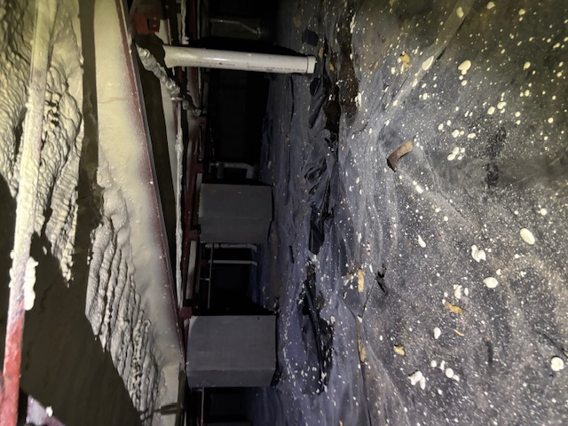 Moisture & Water Management