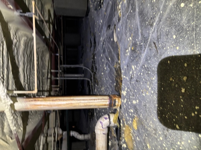 Crawlspace Encapsulation Statesboro