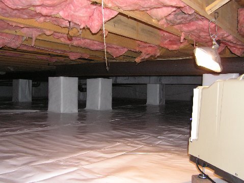 Moisture & Water Management in Statesboro