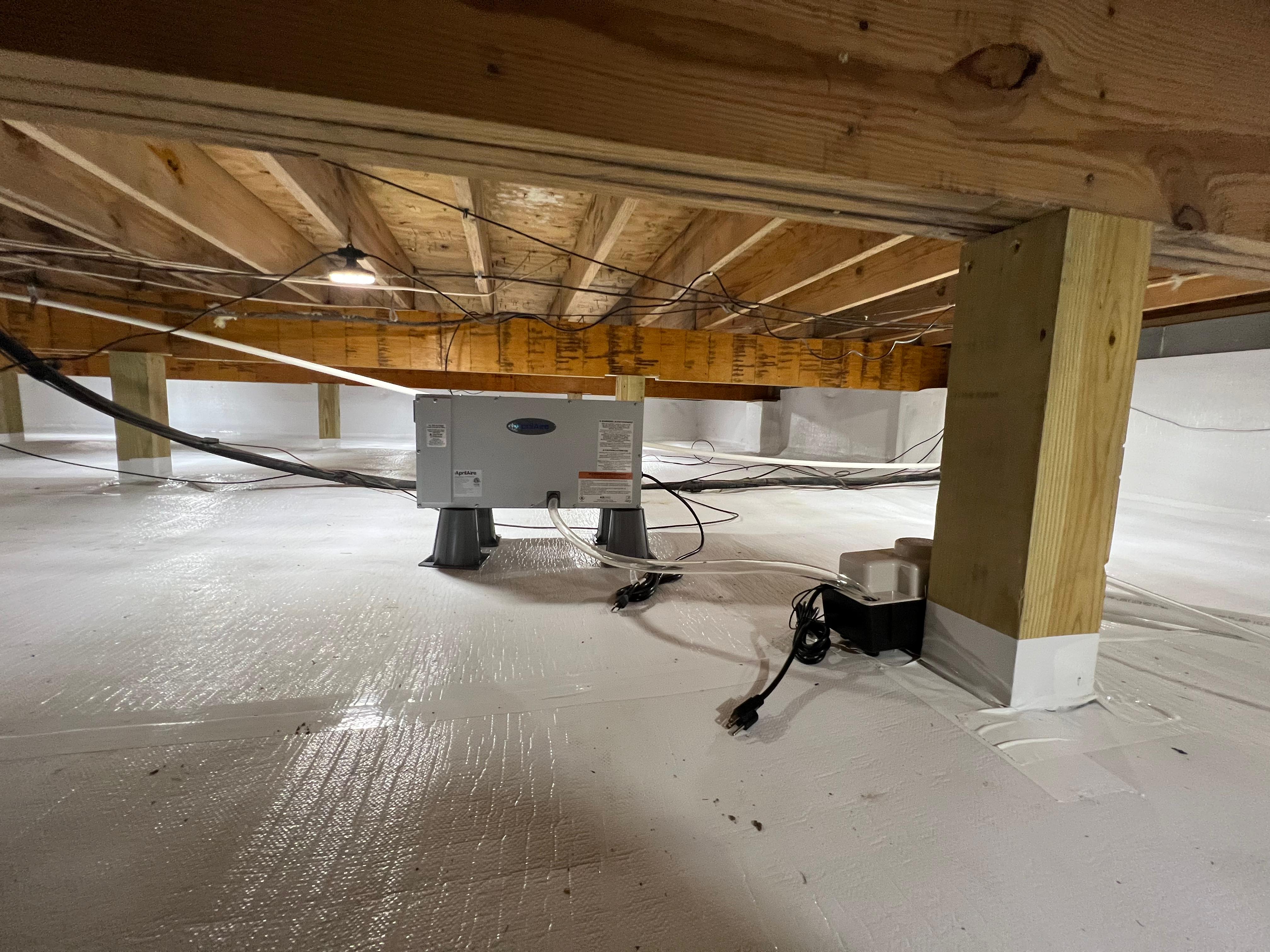 Moisture & Water Management Statesboro