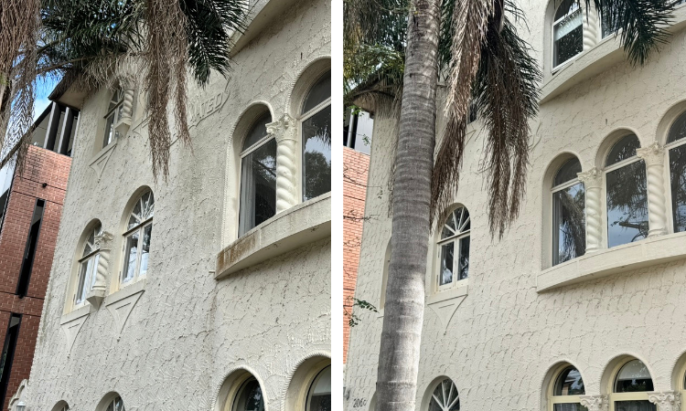 before and after 6