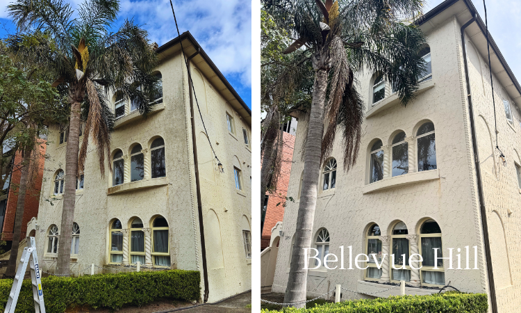 before and after 2