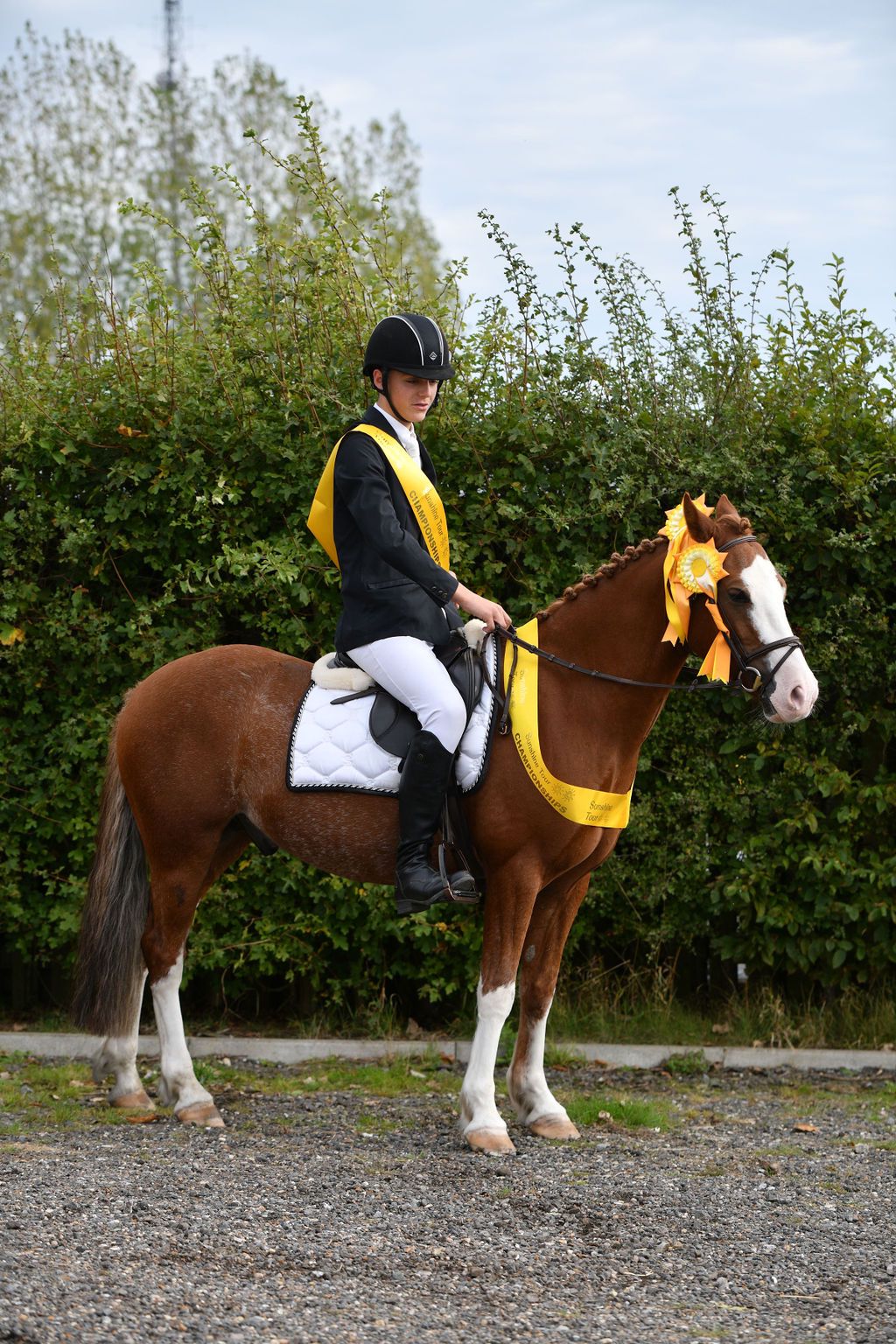 a woman riding on the back of a brown horse