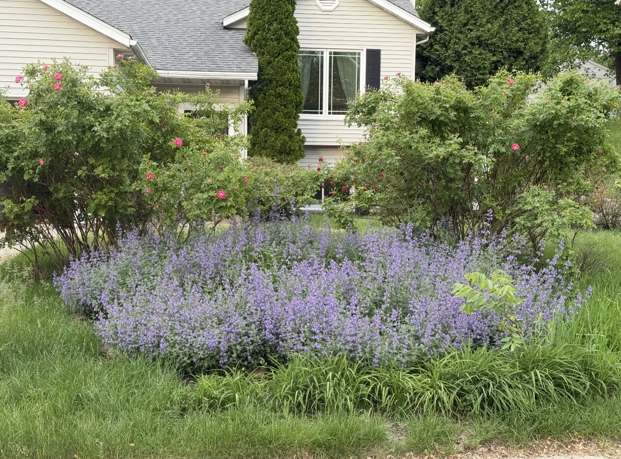 Grow Luck Landscaping Solutions project in Waukesha, Wisconsin