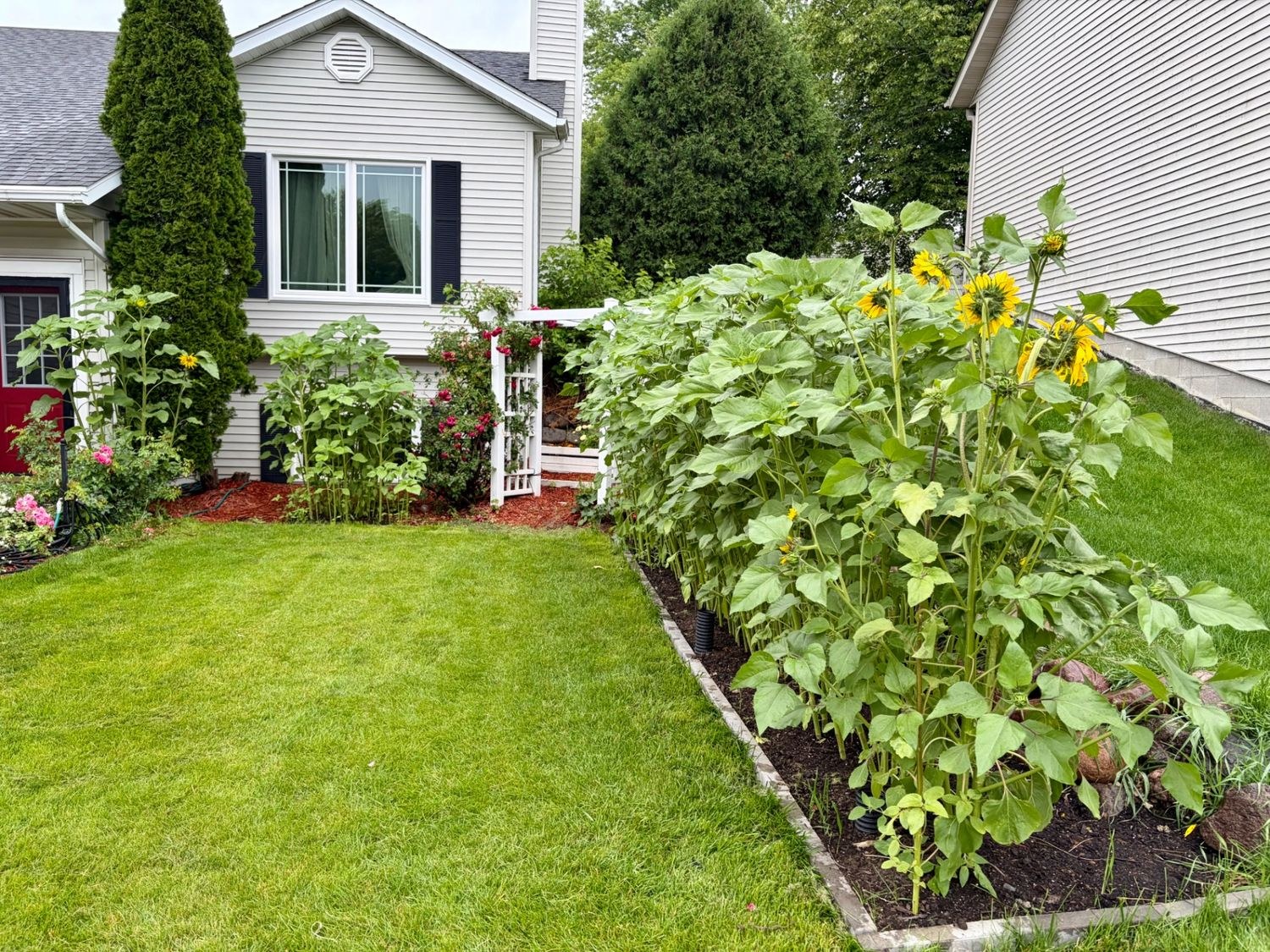 Grow Luck Landscaping Solutions project in Waukesha, Wisconsin