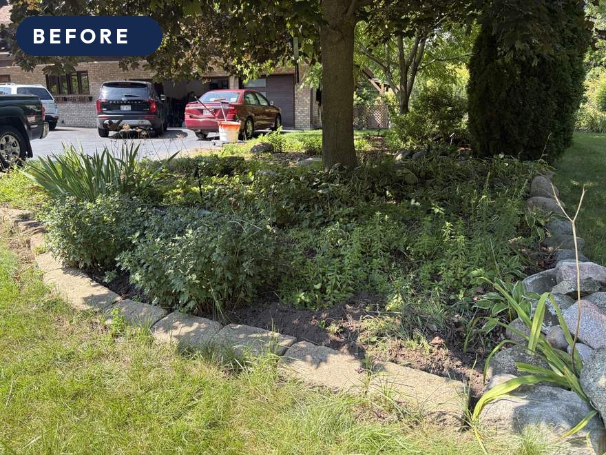 Landscape Renewal — before
