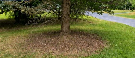 Grow Luck Landscaping Solutions project in Waukesha, Wisconsin