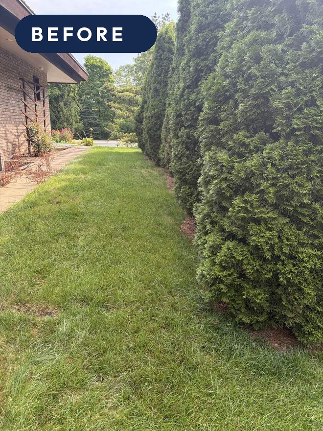 Garden Bed Restoration — before