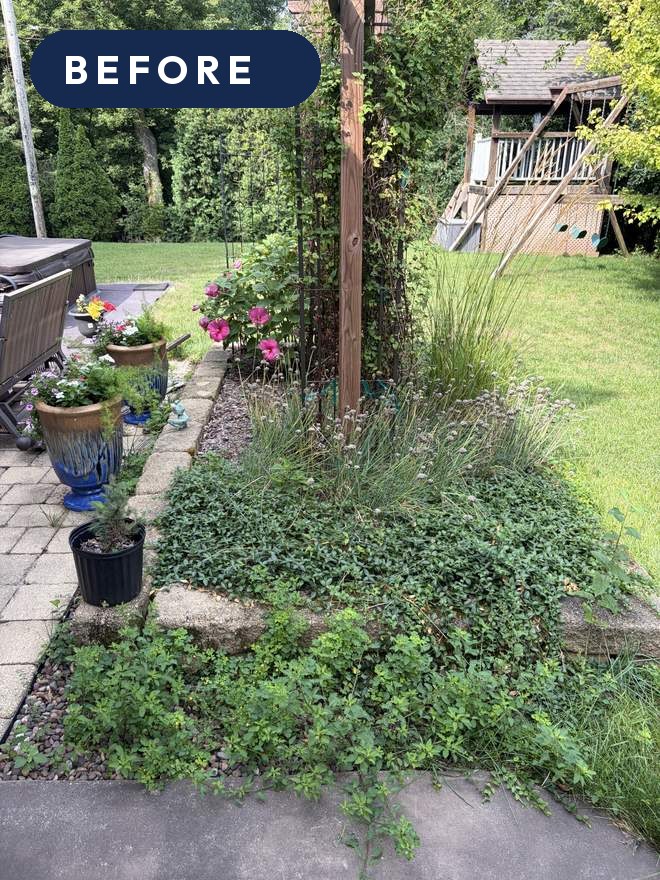 Property Makeover — before