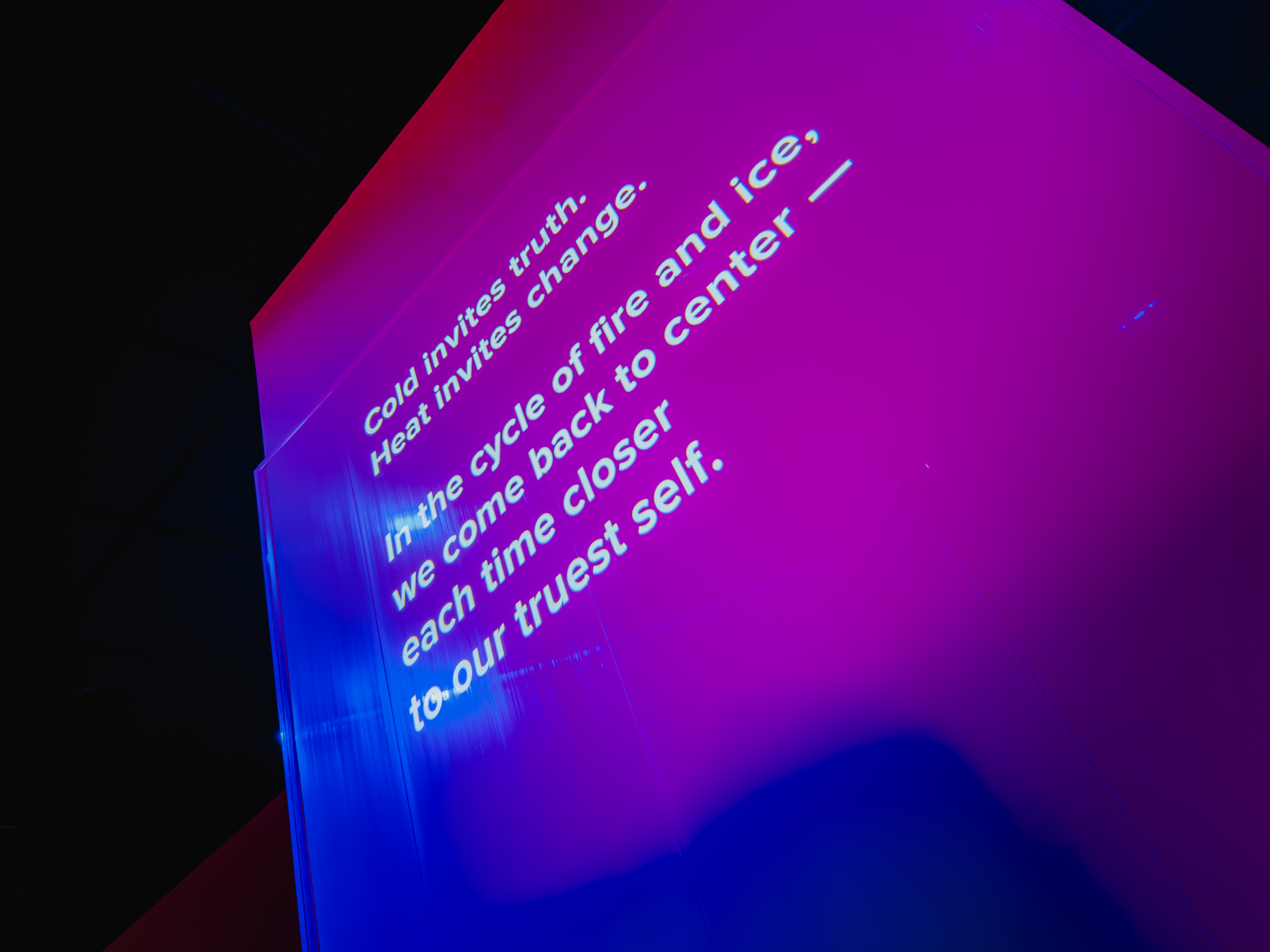 Neon cold and heat quote artwork on wall at Evolve Social Wellness Space facility