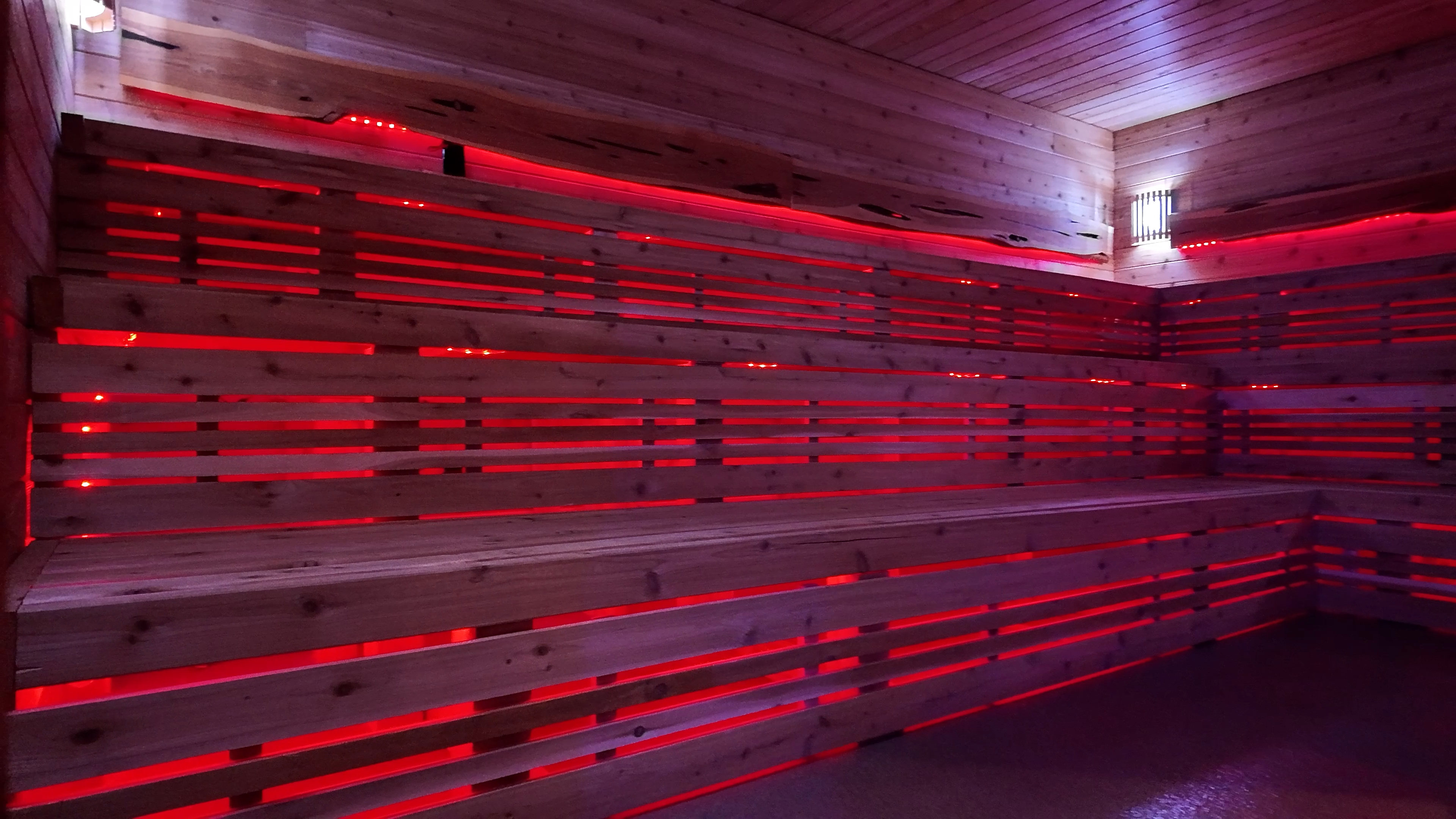 Close-up of infrared sauna heater stones at Evolve