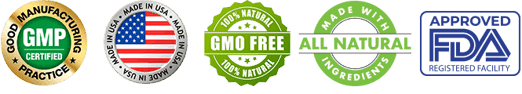 Carbofix GMP, GMO