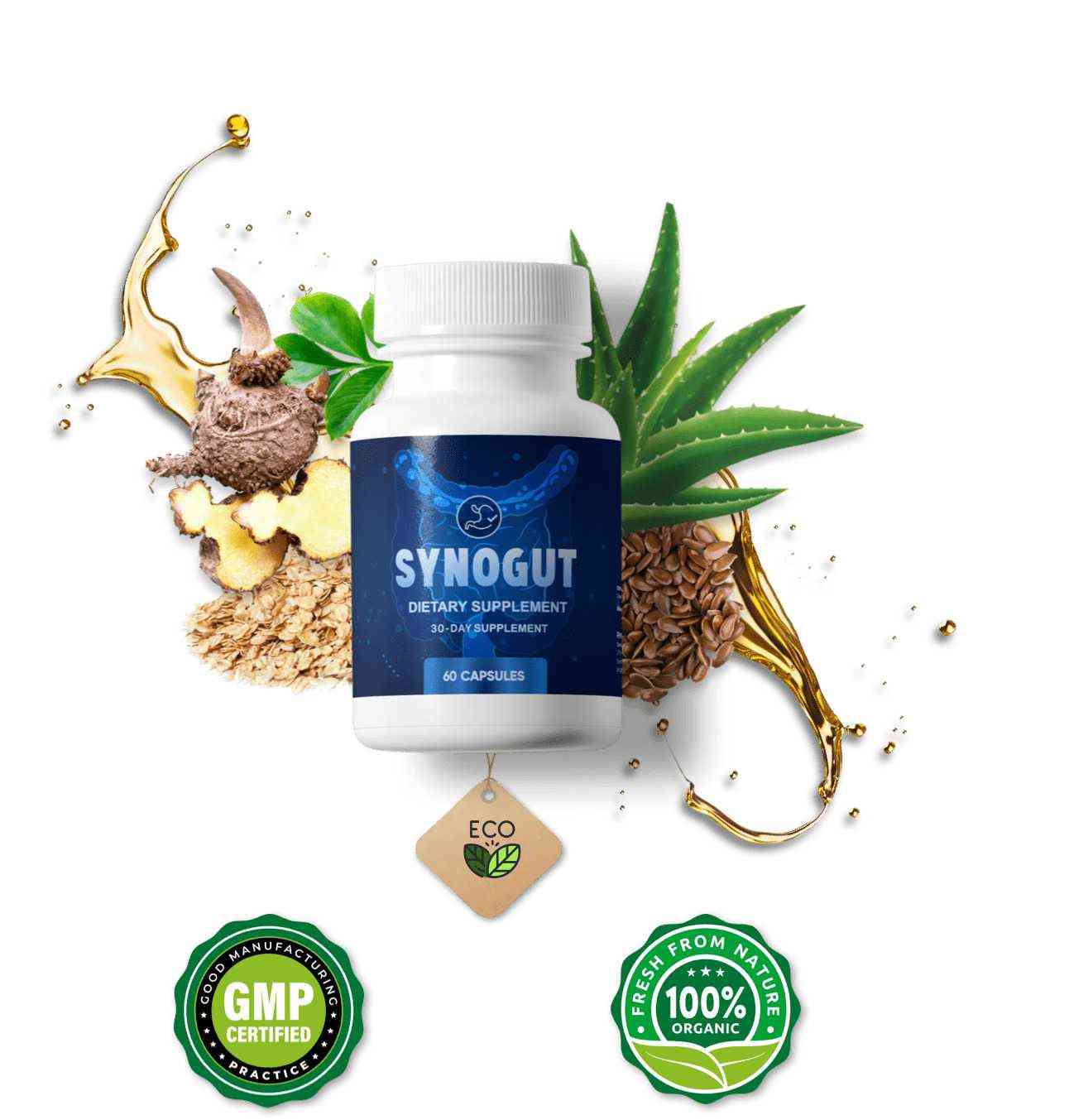 Synogut  home
