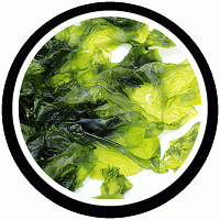 Nori Yaki Extract Powder