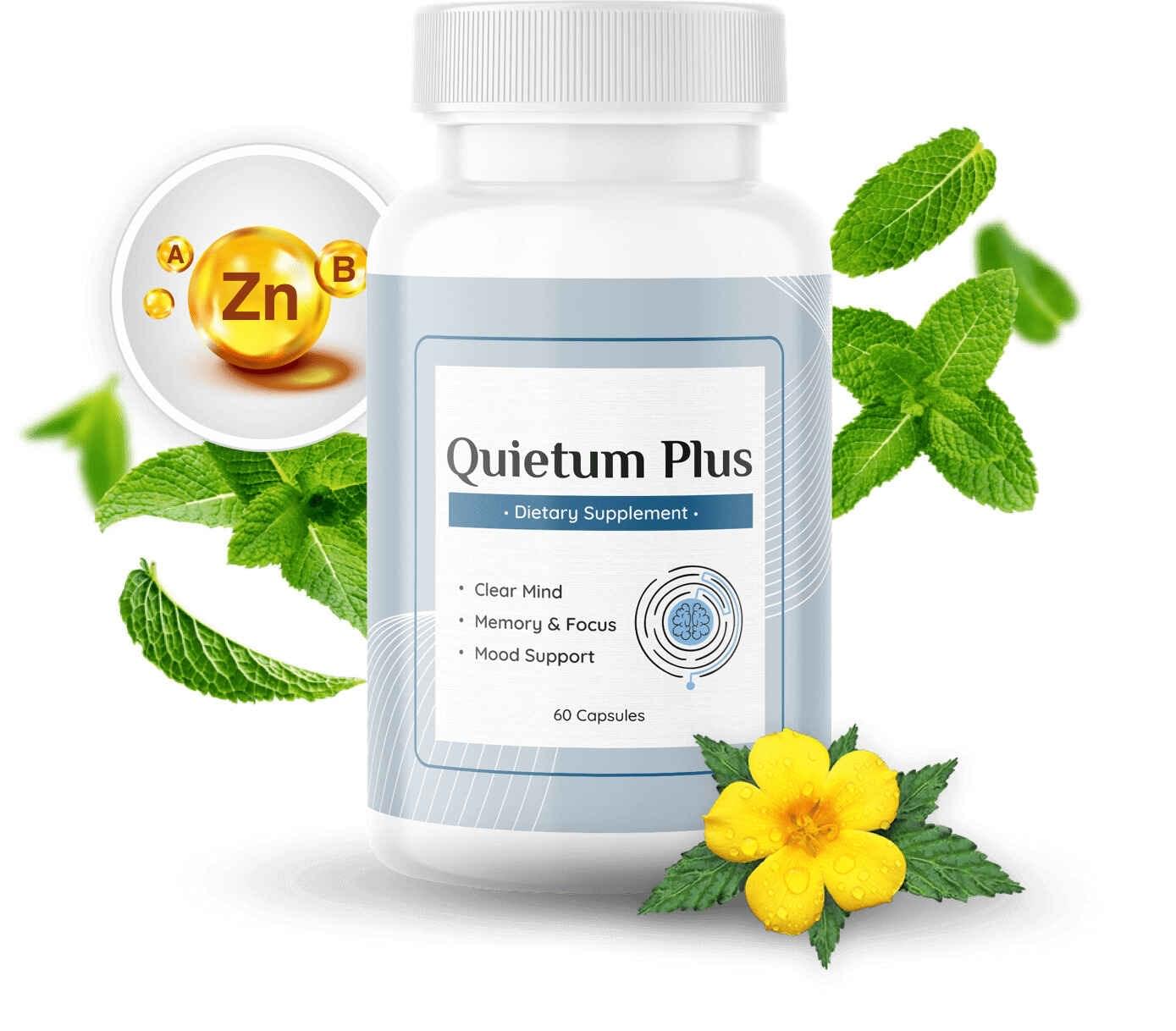 Quietum Plus 
