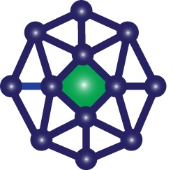 Ray Kim business logo
