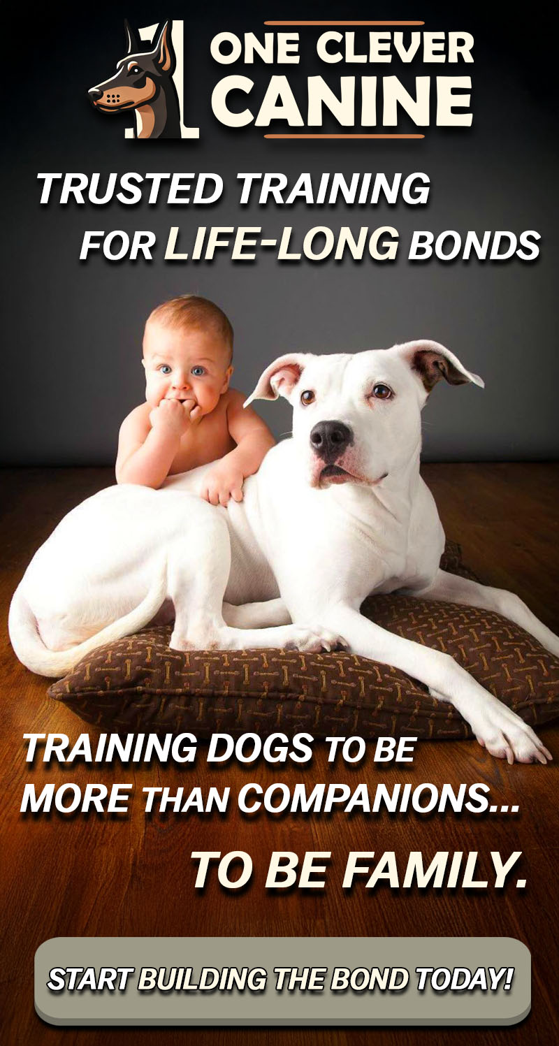 Dog Training Proven Results