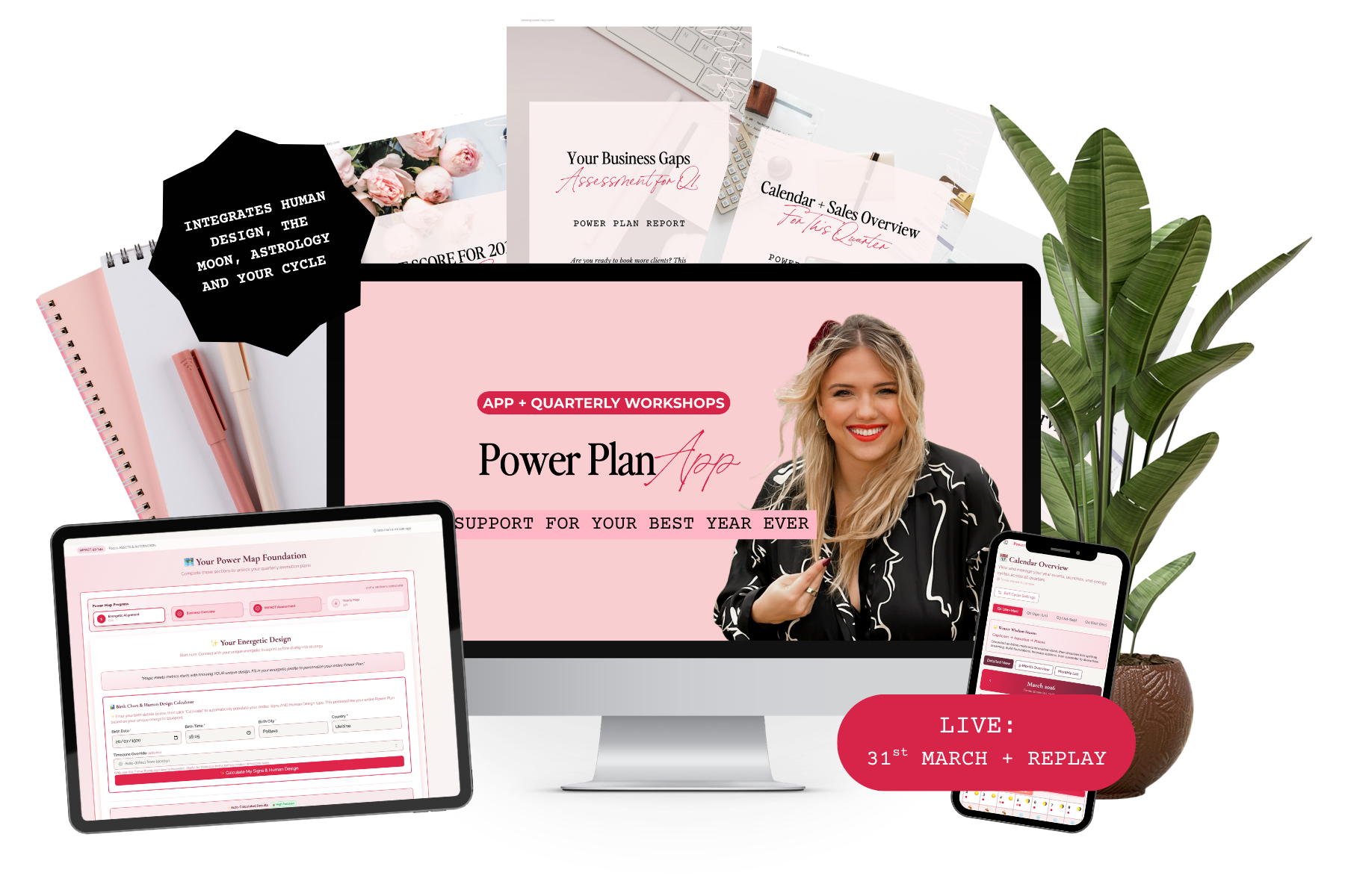 The Power Plan — Alisa Kay