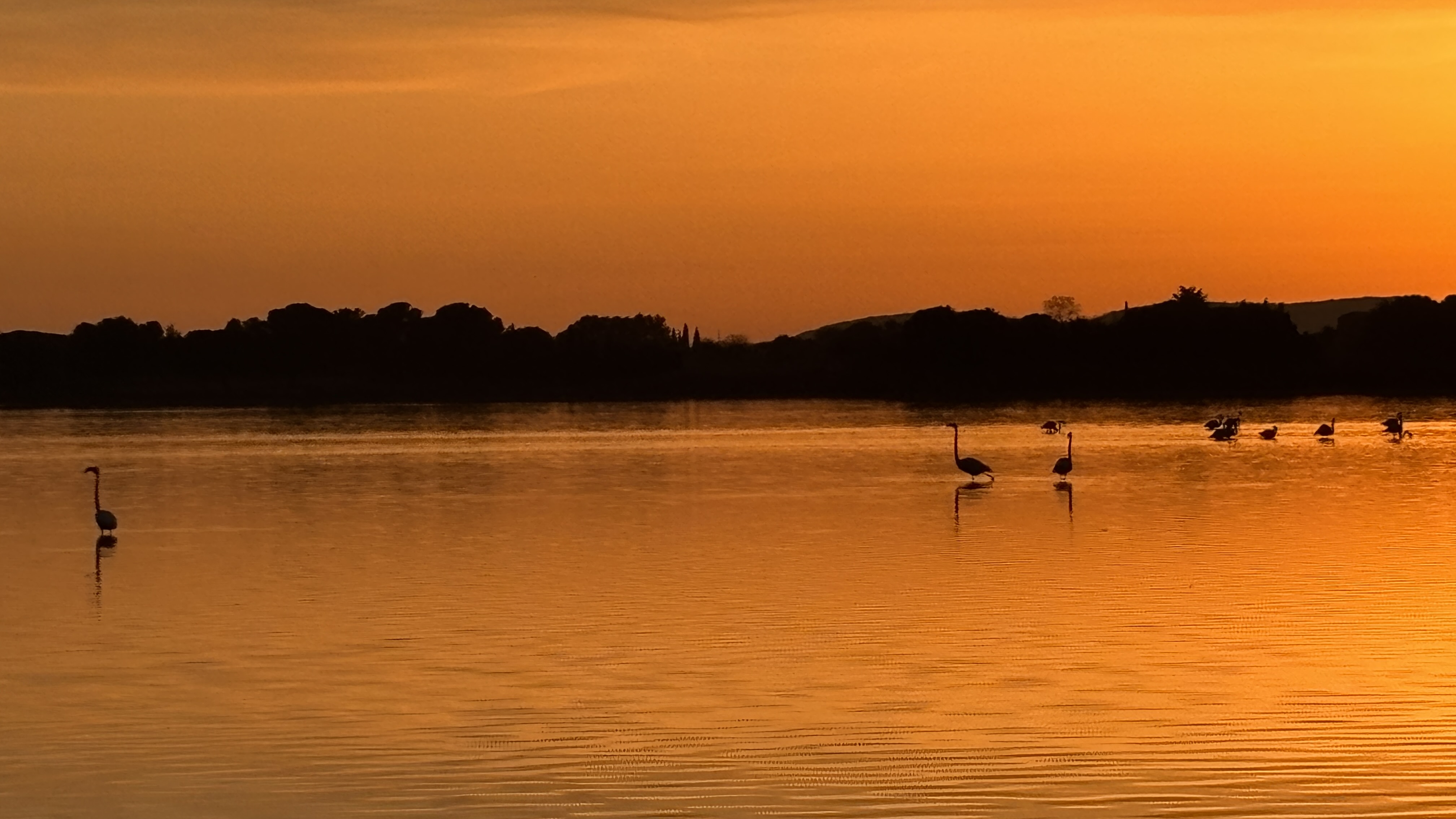 Coucher de soleil sur l'étang de l'Arnel