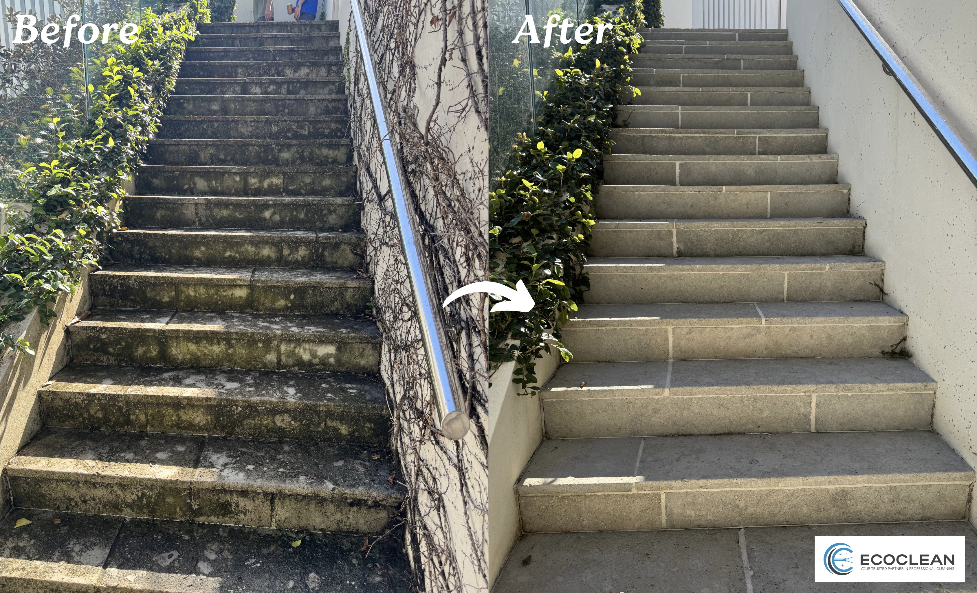 Driveway & Concrete Cleaning