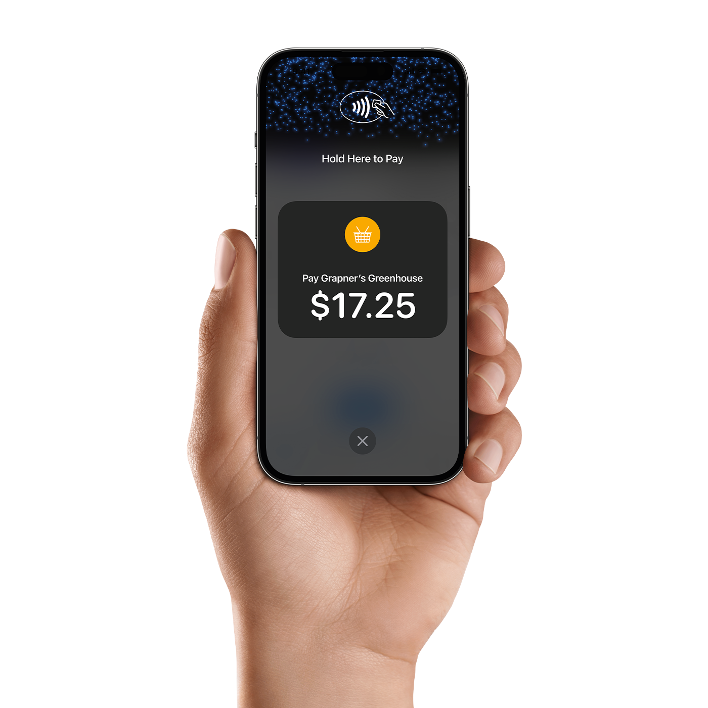Field tech taking a payment on a phone