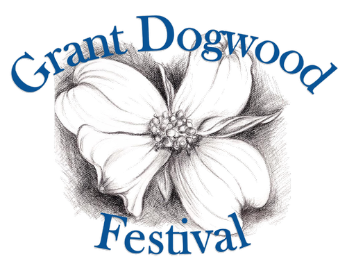 White dogwood flowers in full bloom.