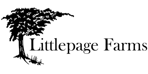 A rustic farm store selling pecans.