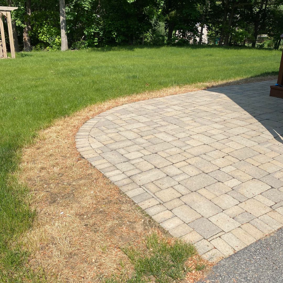 Lawn killed by chemical runoff from a roof clean