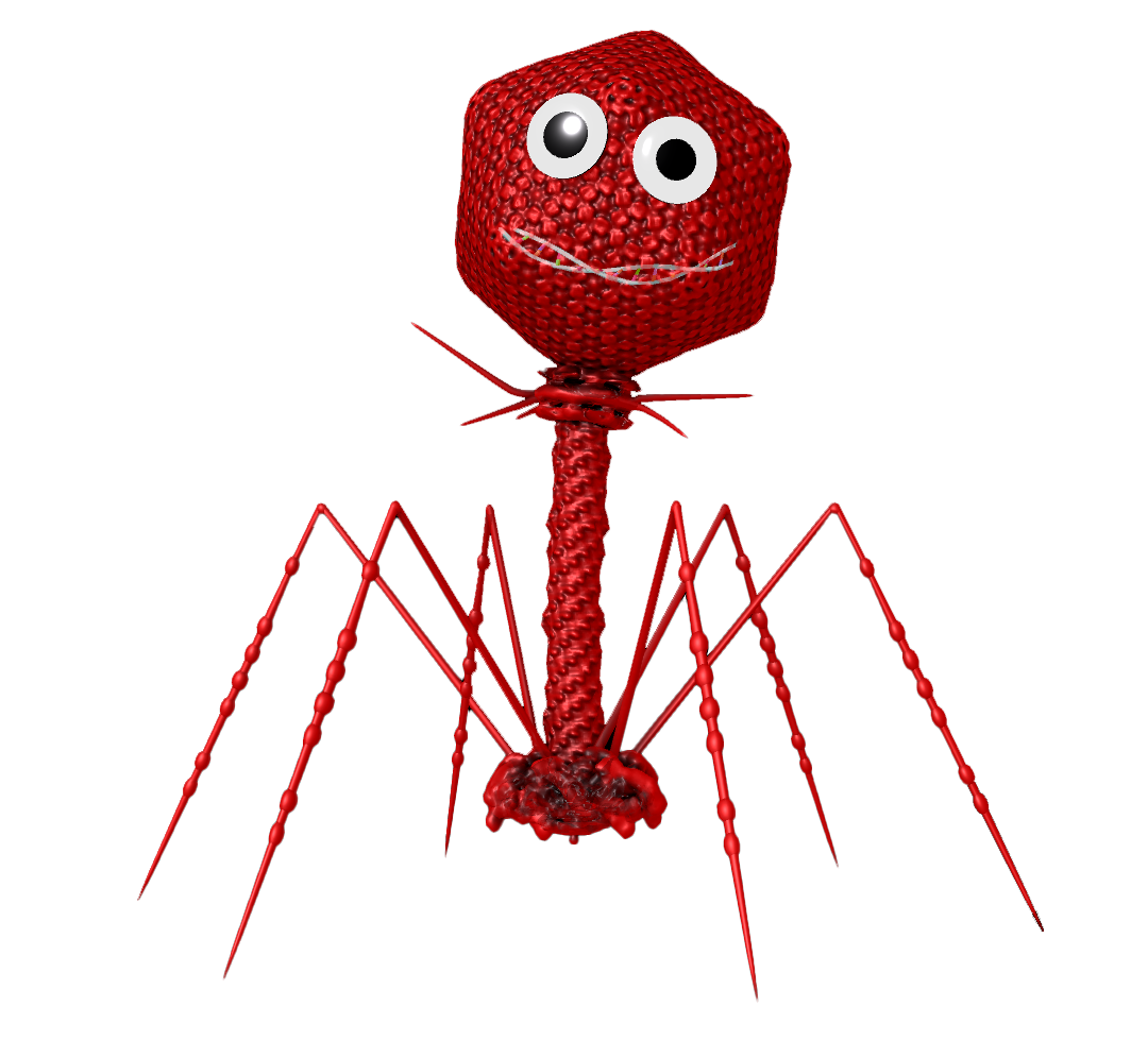 Phage.i, the bacteriophage mascot with googly eyes
