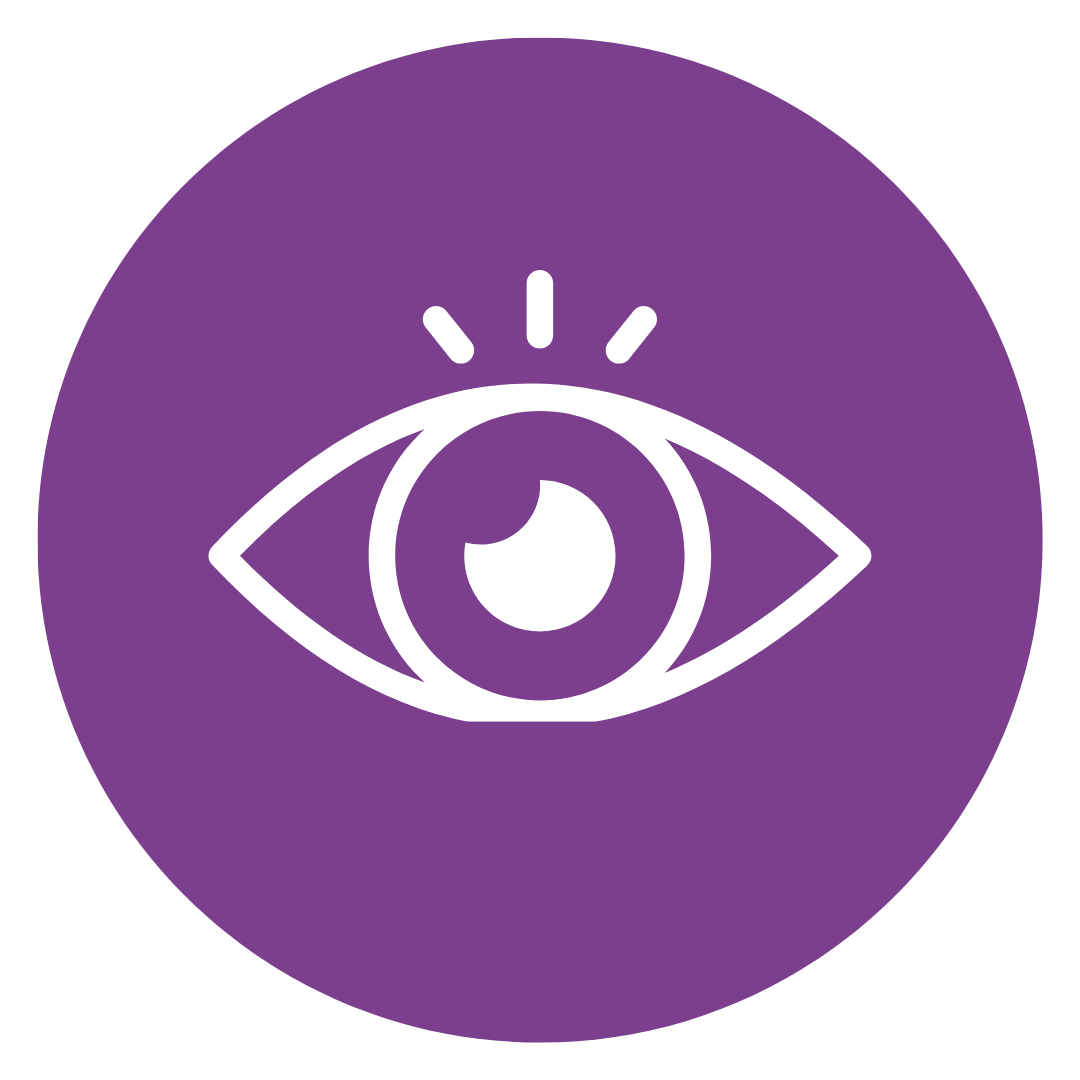Visibility icon
