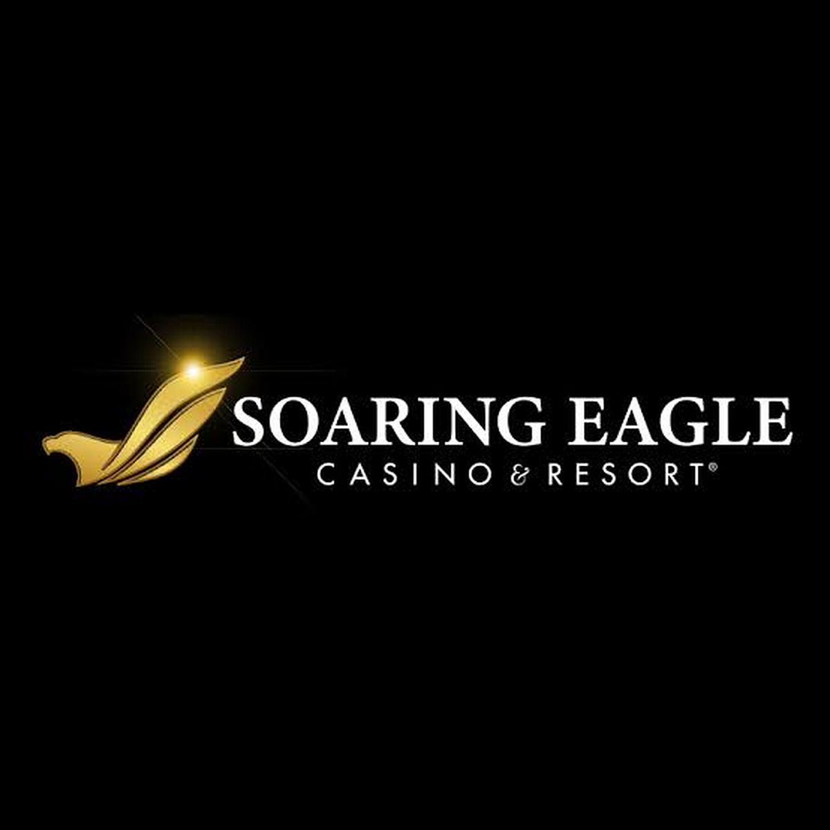 Soaring Eagle Casino and Resort