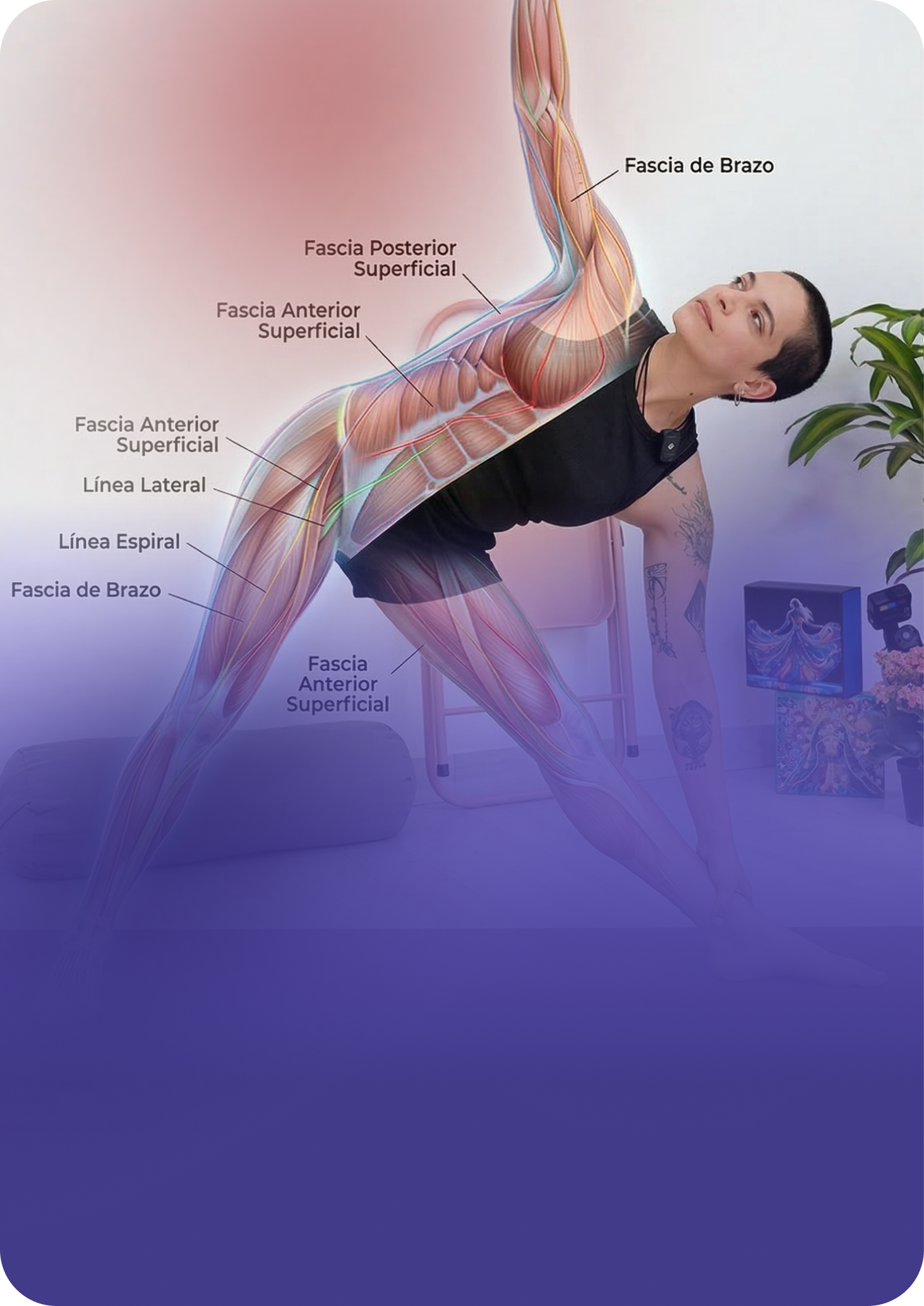 Yoga Líneas Miofasciales ATM Pelvis