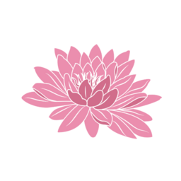Hello Lotus Wellness