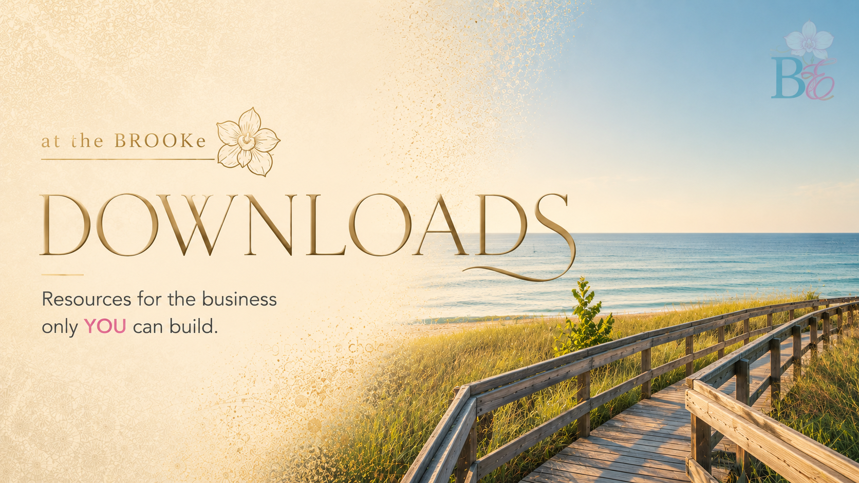 Downloads at the BROOKe