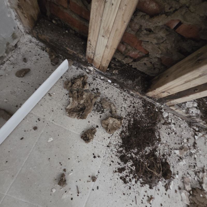Framing and structural repair work