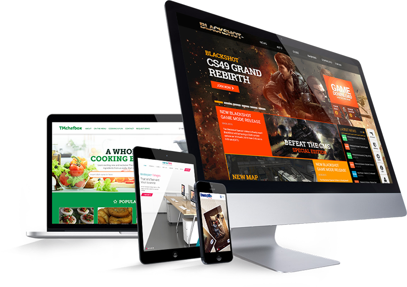 Professional website design preview