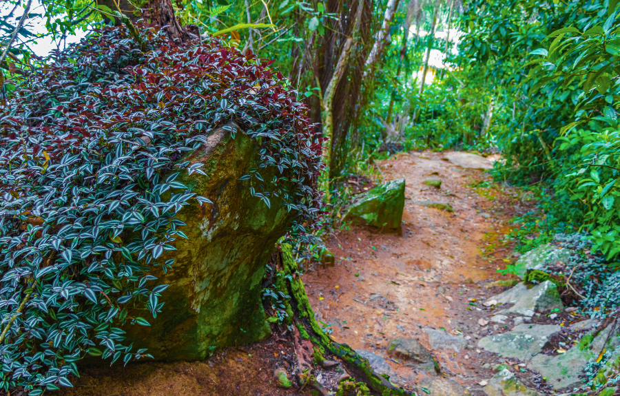 Biras Creek Trail in Virgin Gorda, British Virgin Islands