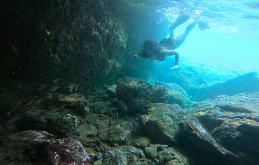 Snorkeling in the Caribbean on Barefoot Cowboy charters Snorkeling in the Caribbean on Barefoot Cowboy charters