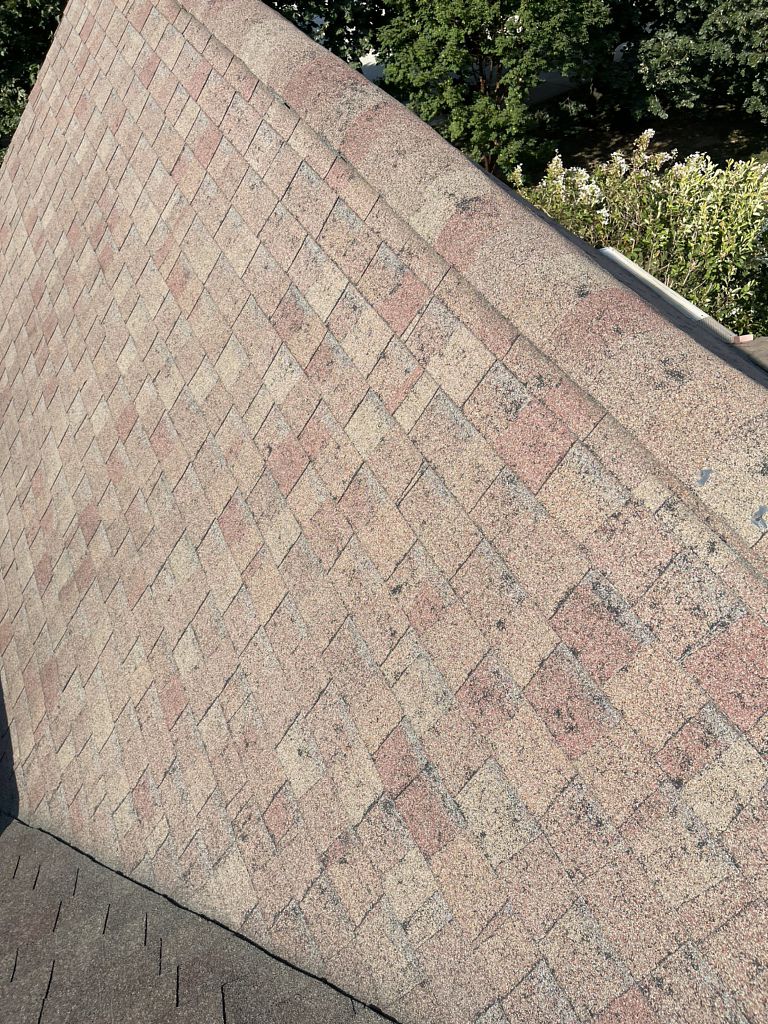 Severely hail damaged roof showing bruising to the shingles and requiring replacement.