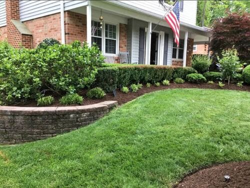 Property Clean Ups in Williamsburg