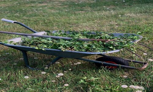Spring and Fall Cleanups