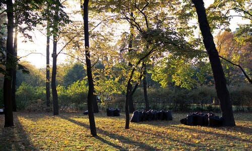 Coralville Spring and Fall Cleanups