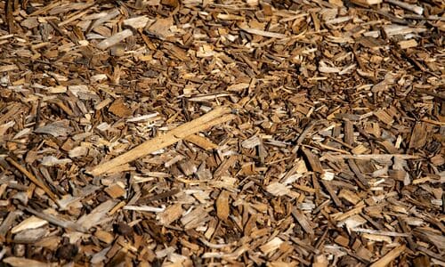 Spring and Fall Cleanups