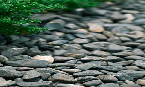  Spring and Fall Cleanups