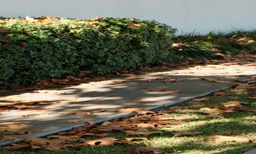 Iowa City Edging Installation