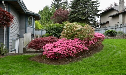 Spring and Fall Cleanups