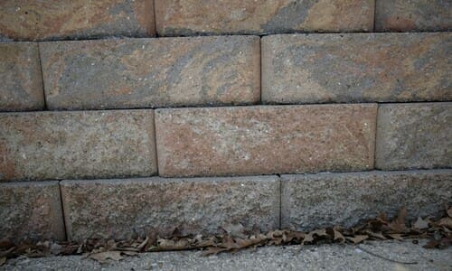 Spring and Fall Cleanups