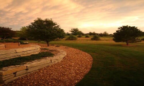 Spring and Fall Cleanups
