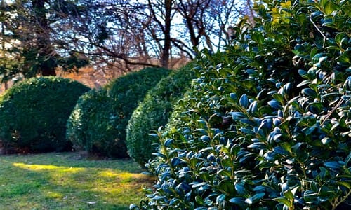  Spring and Fall Cleanups