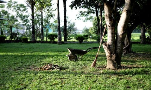  Spring and Fall Cleanups
